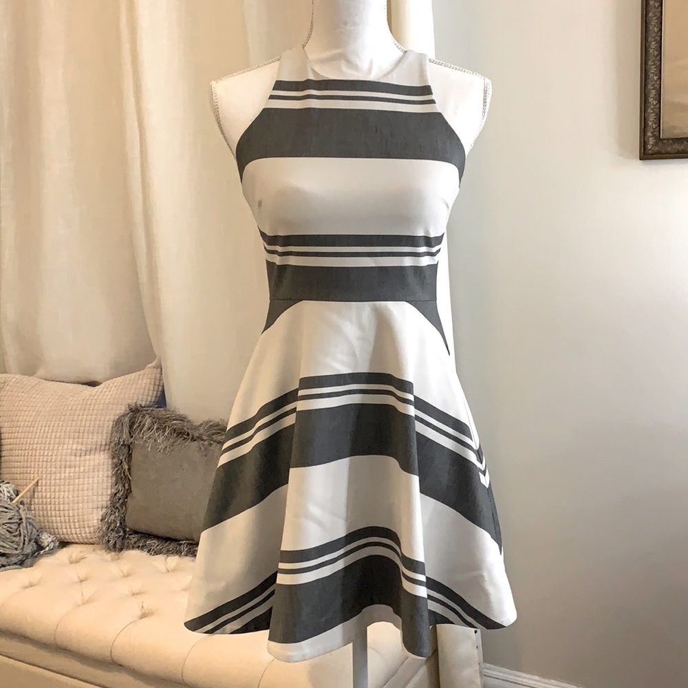 Elizabeth and James Fit and Flare dress